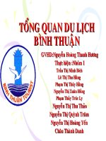 Tổng quan du lịch bình thuận 