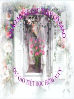 Bài soạn bai 28 Khai thac rung