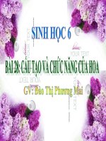 cấu tạo và chức năng của hoa (chuẩn KT-KN)