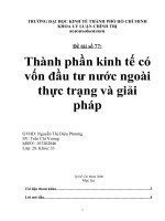 Thành phần kinh tế có vốn đầu tư nước ngoài