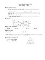 De KTDK cuoi ki I  mon toan lop 2 2010-2011