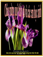 Tài liệu Tiết 43.Môi trường và các nhân tố sinh thá