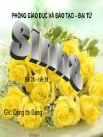 Gián án Bài8- tiét 29