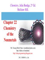 Gián án Chapter 22 Chemistry of the Nonmetals