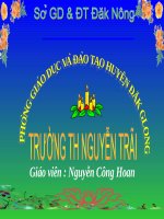 Bài soạn giáo an lớp 4 LTVC