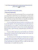 THỰC TRẠNG KINH DOANH MUỐI VÀ HIỆU QUẢ KINH DOANH MUỐI CỦA TỔNG CÔNG TY MUỐI VIỆT NAM