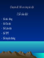 Gián án Chuyên đề Đội