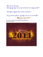 Gián án BỘ ẢNH NỀN XUÂN 2011