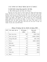 CÁC LĨNH VỰC HOẠT ĐỘNG QUẢN LÝ KHÁC