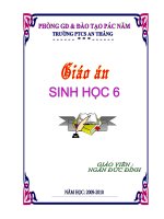 Bài soạn Bìa Giáo Án Chuẩn & Đẹp