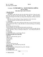 Bài giảng Giao an Ngư Văn 7 Kì II- Dương Thị Thu THSC Ninh Dương MC