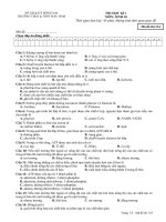 Bài giảng de thi HKI lop 10