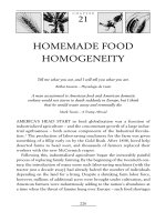 HOMEMADE FOOD HOMOGENEITY