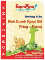 SACH HUONG DAN KINH DOANH NGOAI HOI VANG + FOREX (new) 
