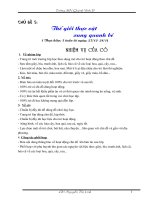 Gián án the gioi thuc vat