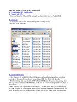 Tích hợp gói dịch vụ vào bộ MS Office 2003