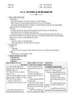 vitamin và muối khoáng