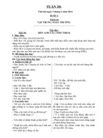 Bài giảng TUAN 20 LOP 4(CKTKN)