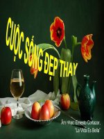 Bài giảng Cuộc sống đẹp