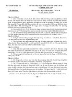 Bài giảng Đề thi HSG Tỉnh An Nghệ môn Hóa 12B