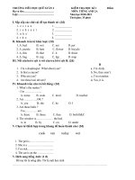 Đề kiểm tra HK1 môn Tiếng Anh 3, 4, 5 (2010-2011)