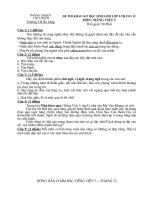 Gián án ^^de thi HSG tieng viet co DA^^ sem nhanh