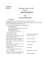 Gián án Lop 3 - Kien -tuán 19