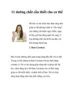 11 dưỡng chất cần thiết cho cơ thể