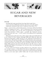 SUGAR AND NEW BEVERAGES