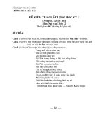 Bài giảng Ngữ Văn 12: Đề thi - Đáp án HK1 2010-2011