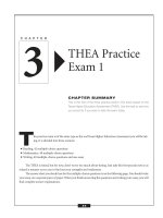 THEA Practice Exam 1
