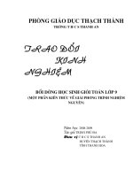 Gián án KINH NGHIEM BD HSG DAI SO 9