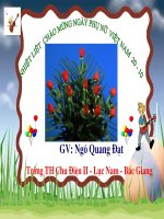 Gián án Tiếng Việt 4 - kỳ 1