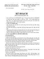 Bài soạn kế hoạch kiểm tra nội bộ 2010-2011