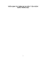 Thẩm định tài chính dự án đầu tư của Ngân hàng thương mại