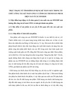 THỰC TRẠNG VỀ TÌNH HÌNH ÁP DỤNG KẾ TOÁN MÁY TRONG TỔ CHỨC CÔNG TÁC KẾ TOÁN CPSX VÀ TÍNH GIÁ THÀNH SẢN PHẨM HIỆN NAY Ở CÁC DNSXDP