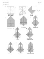 Nghệ thuật xếp hình Nhật Bản:ibis_weber_2