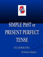 Tài liệu Simple past or present perfec tense
