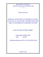 Luận văn đánh giá, tuyển chọn các tổ hợp lai cà chua có năng suất, chất lượng, chín sớm, chịu nóng phục vụ cho trồng ở vụ thu đông, xuân hè 