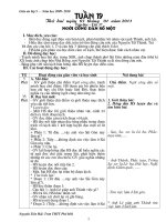 Bài giảng gan Lop 5-tuan 19+20-3 cot-Haiqv- RKN