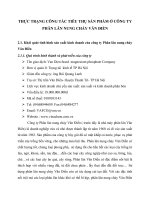 THỰC TRẠNG CÔNG TÁC TIÊU THỤ SẢN PHẨM Ở CÔNG TY PHÂN LÂN NUNG CHẢY VĂN ĐIỂN