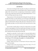 Một số biện pháp nâng cao hiệu quả sử dụng vốn tại công ty cổ phần tư vấn xây dựng nông nghiệp và cơ sở hạ tầng hải phòng 