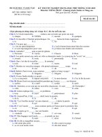 Đề thi chính thức kỳ thi tốt nghiệp THPT 2010 môn tiếng Pháp - Chương trình chuẩn và nâng cao (Mã đề thi 381)