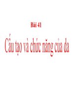 Bài soạn Bài 41. Cấu tạo và chuc năng của da