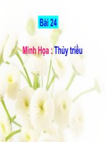 Tài liệu Minh hoa Bai 24 - Thuy trieu.
