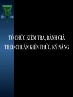 Bài soạn Kiểm tra chuẩn KT-KN