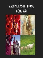 tiểu luận VACCINE KÝ SINH TRÙNG ĐỘNG VẬT