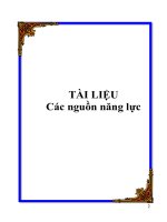 Các nguồn năng lực