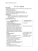 Tài liệu TIẾT SINH HOẠT TUẦN 19-20
