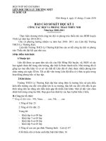 Gián án BAO CAO SO KET HKI LIEN DOI 10-11